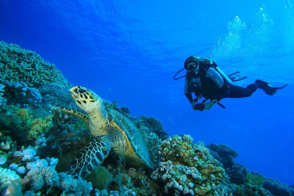 Full-Day Racha Yai Private Scuba Diving Course from Phuket | ®ExcursionMania
