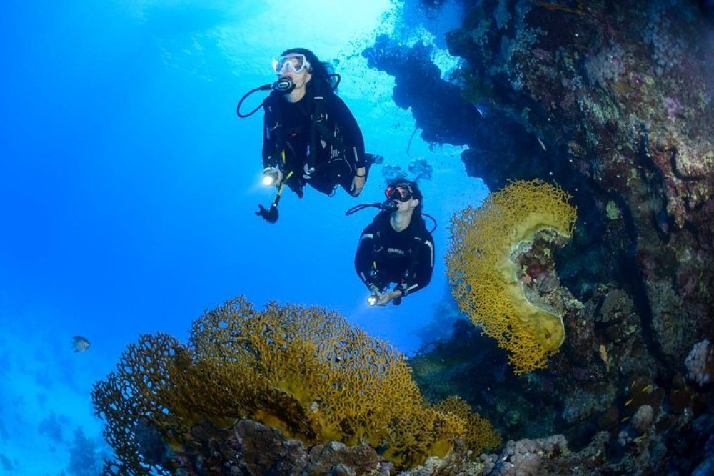 Full-Day Racha Yai Private Scuba Diving Course from Phuket | ®ExcursionMania