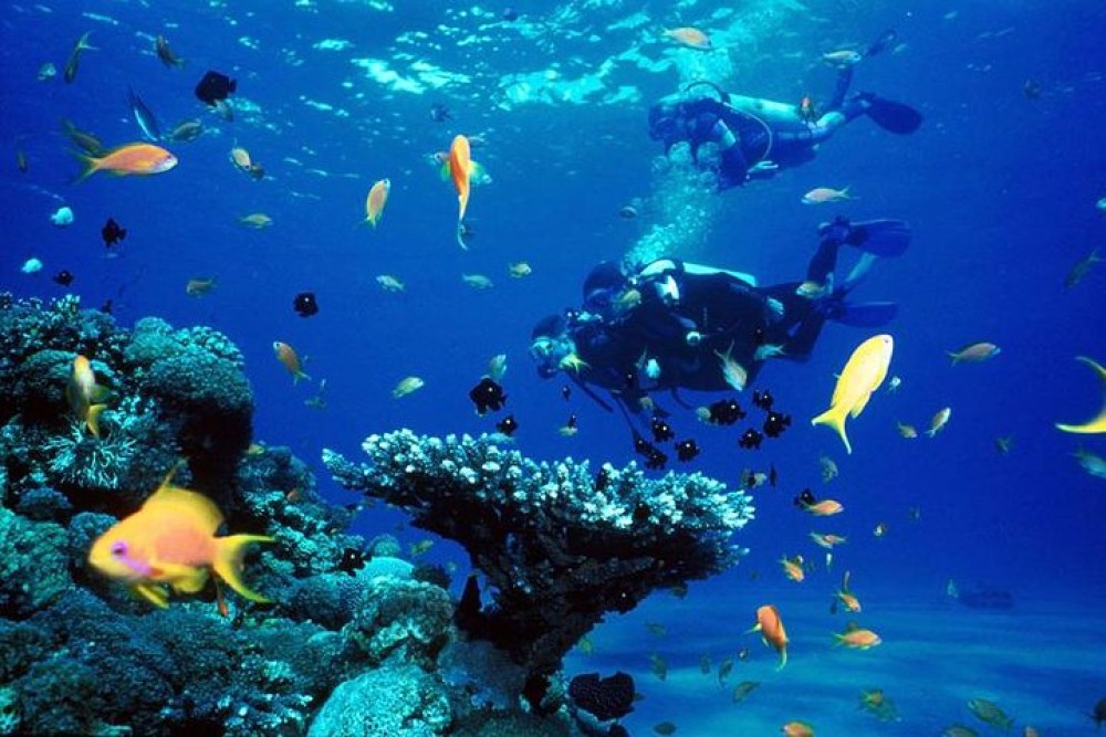 Full-Day Racha Yai Private Scuba Diving Course from Phuket | ®ExcursionMania
