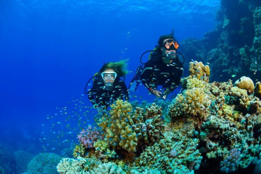 Full-Day Racha Yai Private Scuba Diving Course from Phuket | ®ExcursionMania