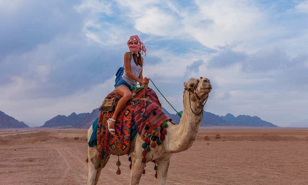 5 in 1 Quads, Camels, Show, Dinner & Star Gazing in Sharm El Sheikh | ®ExcursionMania