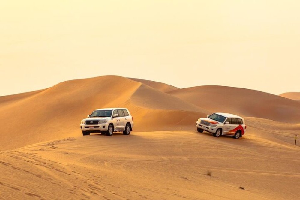 Liwa Full Day Desert Safari from Abu Dhabi | ®ExcursionMania