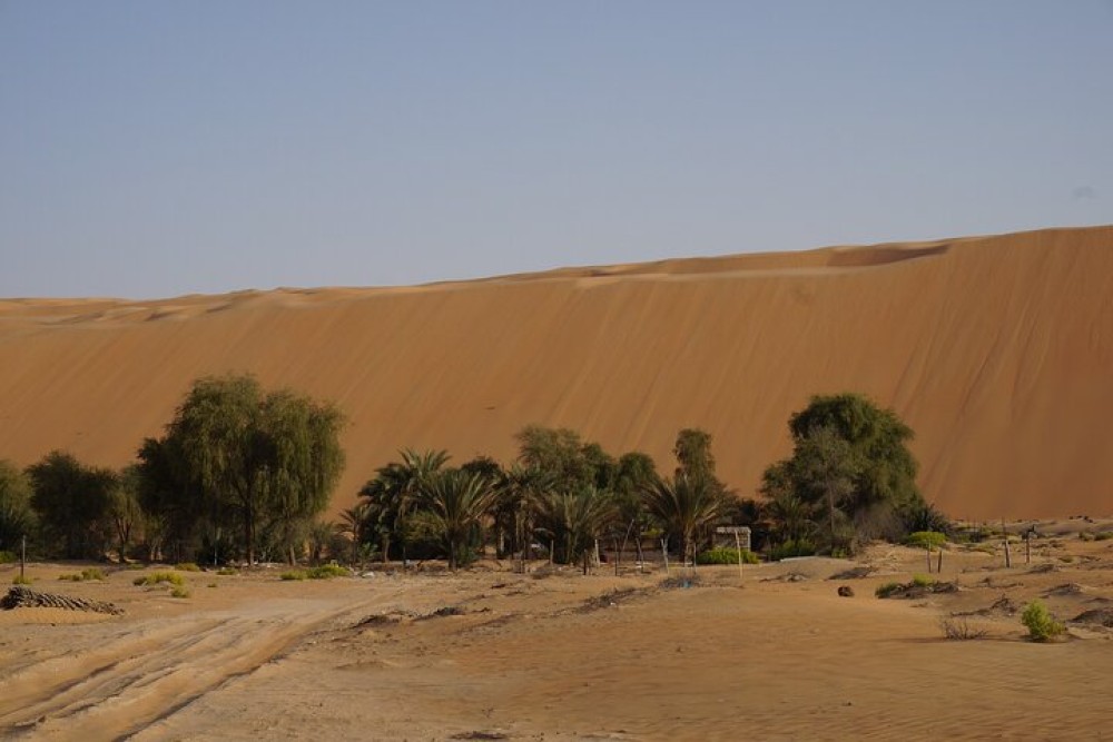 Liwa Full Day Desert Safari from Abu Dhabi | ®ExcursionMania