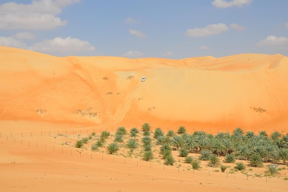 Liwa Full Day Desert Safari from Abu Dhabi | ®ExcursionMania