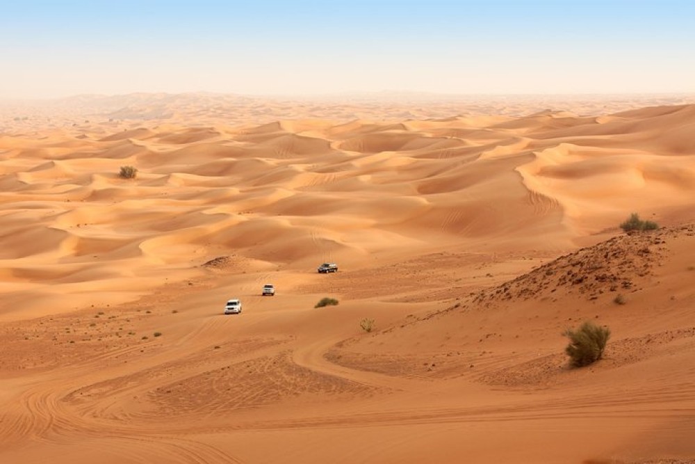 Liwa Full Day Desert Safari from Abu Dhabi | ®ExcursionMania