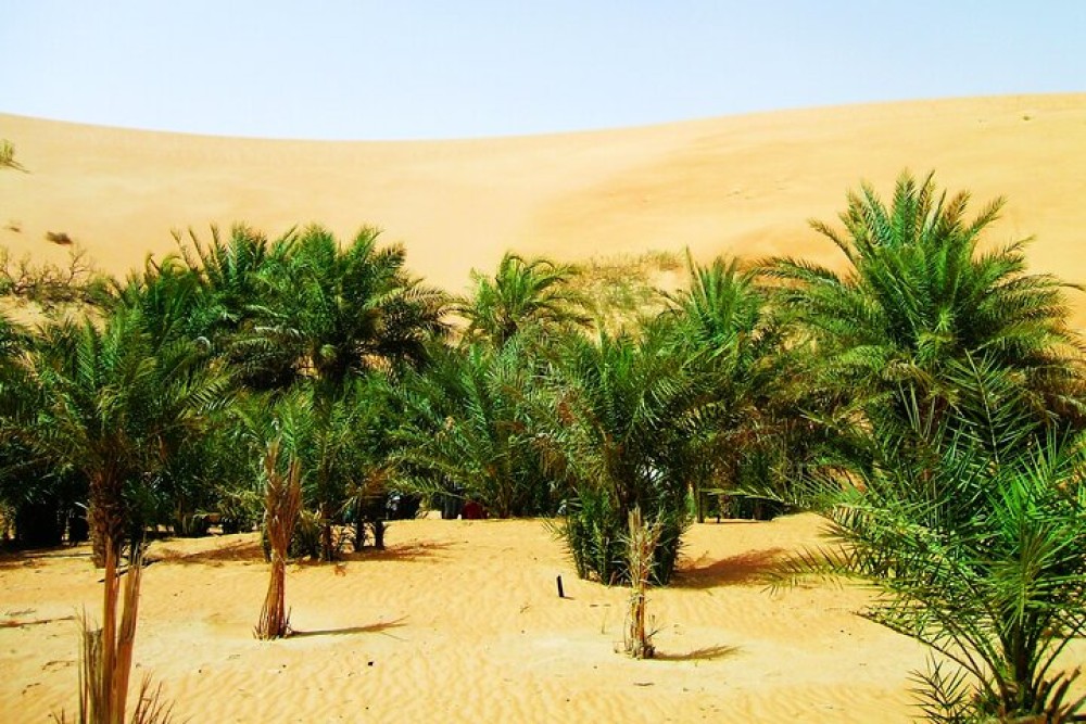 Liwa Over Night Safari | ®ExcursionMania