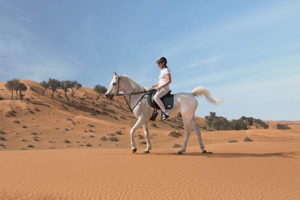 1 Hour Guided Horse Riding Activity in Sharm El Sheikh | ®ExcursionMania