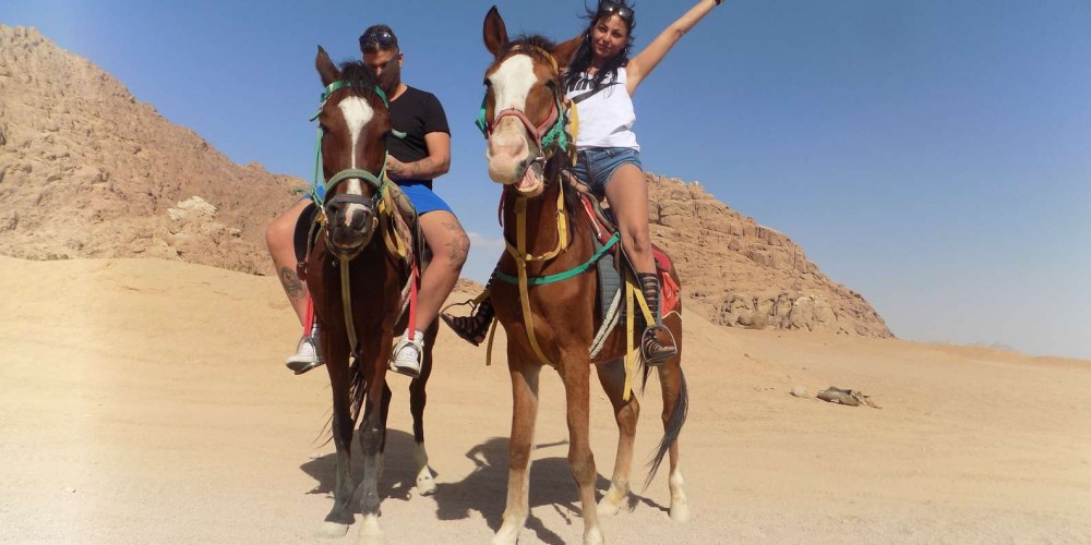 1 Hour Guided Horse Riding Activity in Sharm El Sheikh | ®ExcursionMania