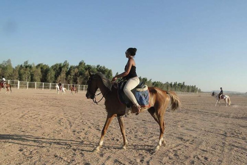 1 Hour Guided Horse Riding Activity in Sharm El Sheikh | ®ExcursionMania