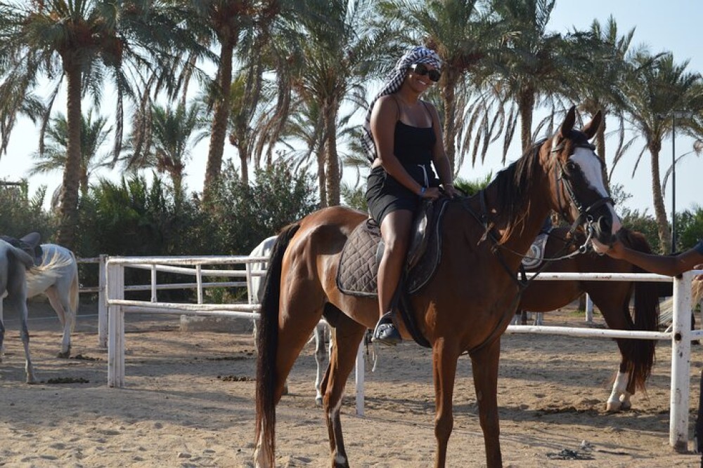 1 Hour Guided Horse Riding Activity in Sharm El Sheikh | ®ExcursionMania