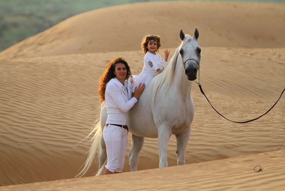 1 Hour Guided Horse Riding Activity in Sharm El Sheikh | ®ExcursionMania