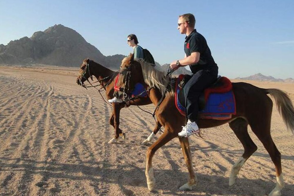 1 Hour Guided Horse Riding Activity in Sharm El Sheikh | ®ExcursionMania