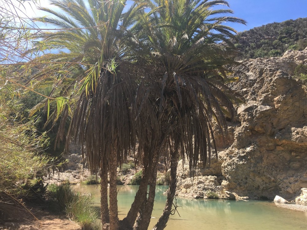 Agadir Cooking Class Including Paradise Valley and Sand Dunes Desert | ®ExcursionMania