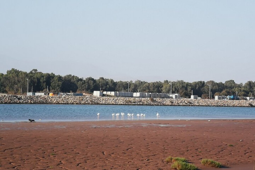Agadir Electric Scooter Tour | ®ExcursionMania