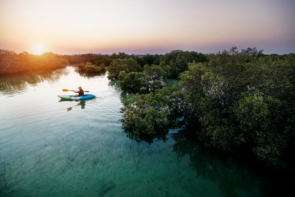 Mangrove Kayaking | ®ExcursionMania