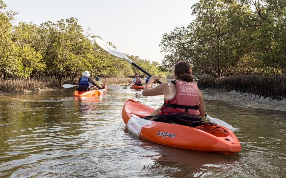 Mangrove Kayaking | ®ExcursionMania