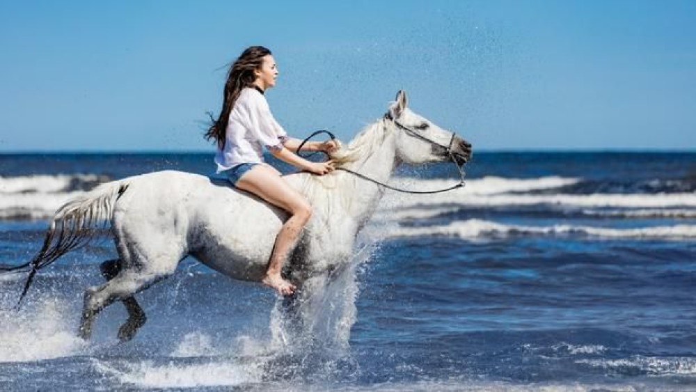 1 Hour Beach Horse Ride in Sharm El Sheikh | ®ExcursionMania
