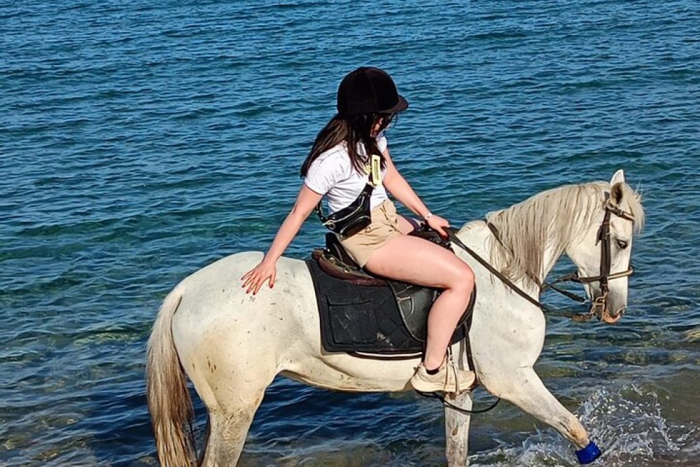 1 Hour Beach Horse Ride in Sharm El Sheikh | ®ExcursionMania