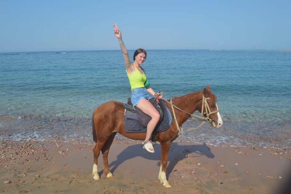 1 Hour Beach Horse Ride in Sharm El Sheikh | ®ExcursionMania