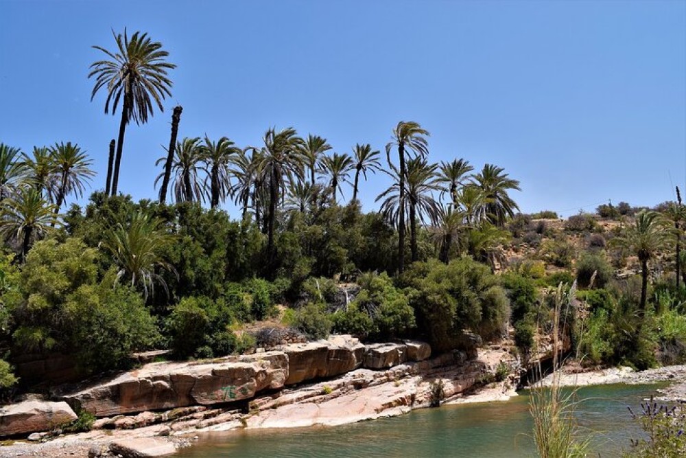 Paradise Valley and Camel Ride and Spa in All in One in Agadir | ®ExcursionMania