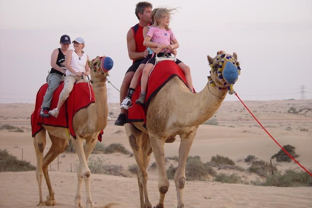 Paradise Valley and Camel Ride and Spa in All in One in Agadir | ®ExcursionMania