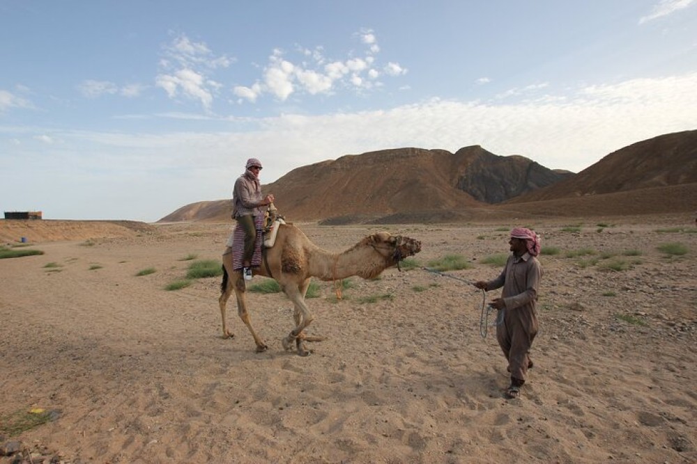 Paradise Valley and Camel Ride and Spa in All in One in Agadir | ®ExcursionMania