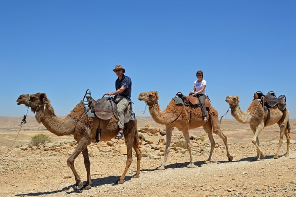 Paradise Valley and Camel Ride and Spa in All in One in Agadir | ®ExcursionMania