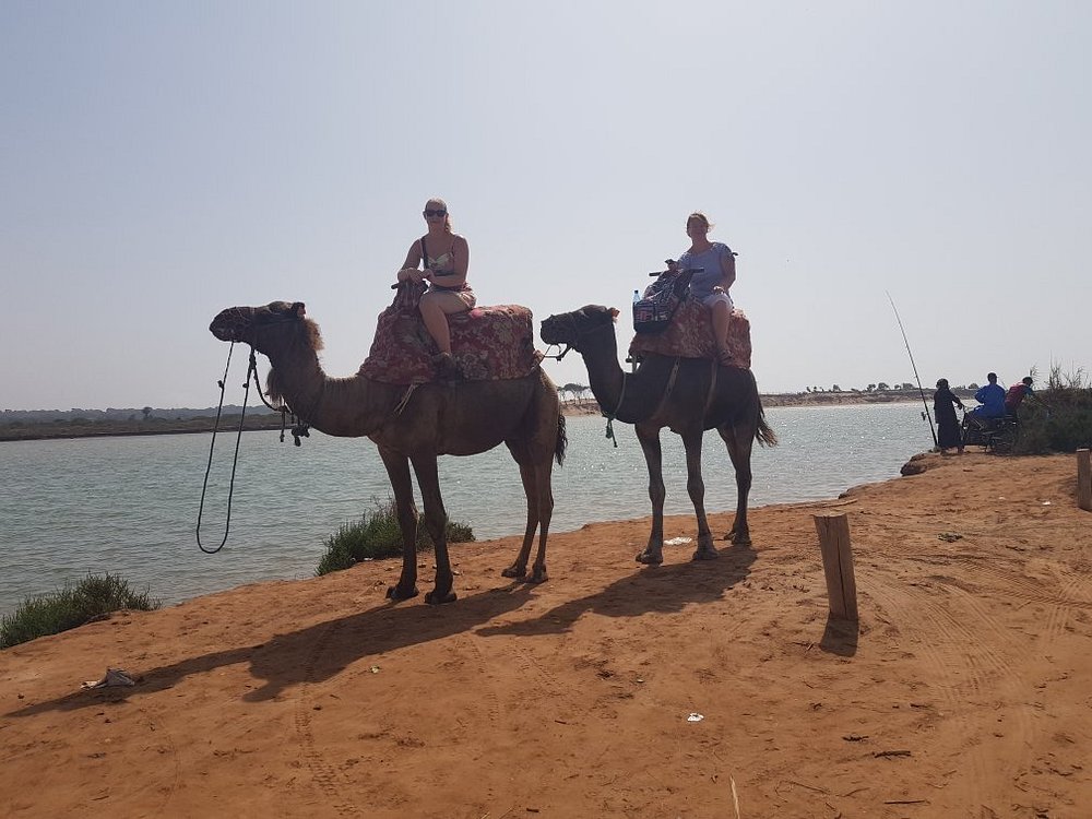 Paradise Valley and Camel Ride and Spa in All in One in Agadir | ®ExcursionMania