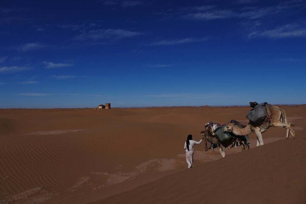2 Days Desert Trip From Agadir To Zagora | ®ExcursionMania