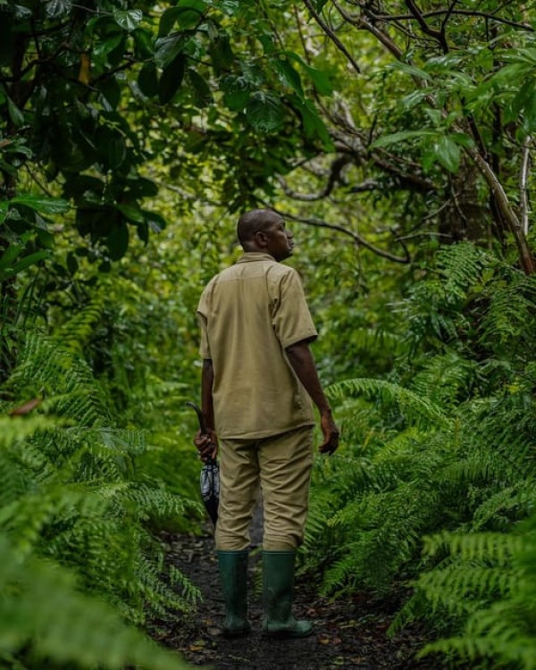 Zanzibar Jozani Forest, Kuza Cave, and Mtende Beach Tour | ®ExcursionMania