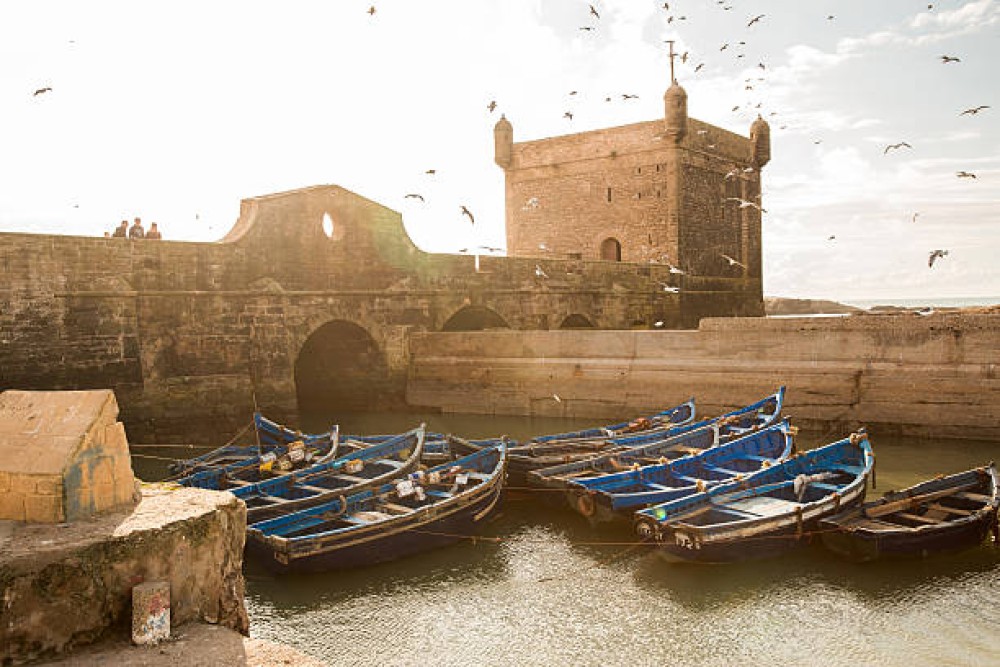 Essaouira Day Trip From Agadir Or Taghazout | ®ExcursionMania