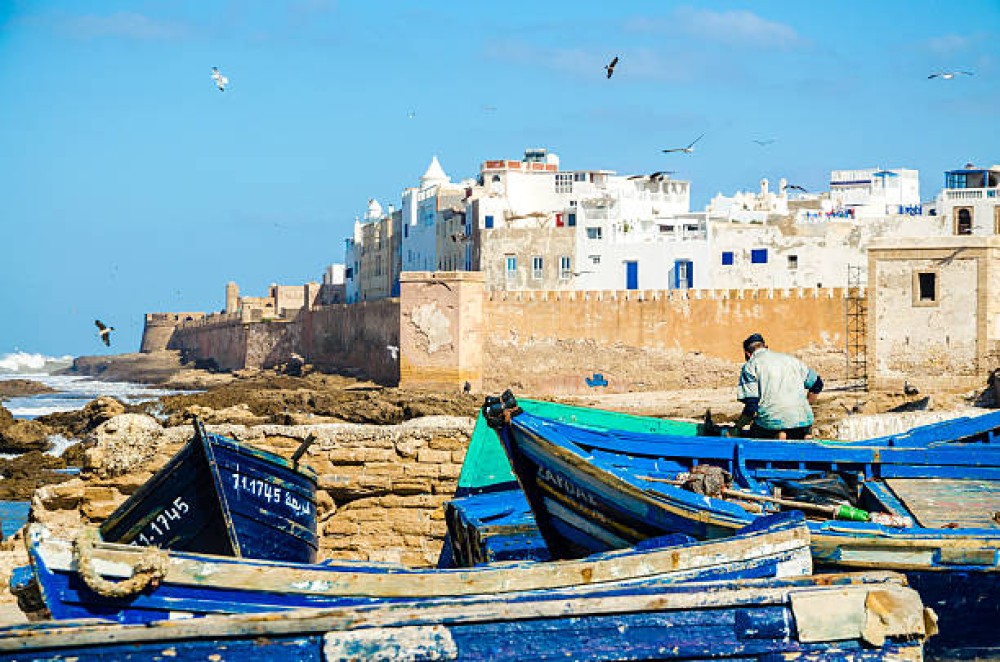 Essaouira Day Trip From Agadir Or Taghazout | ®ExcursionMania