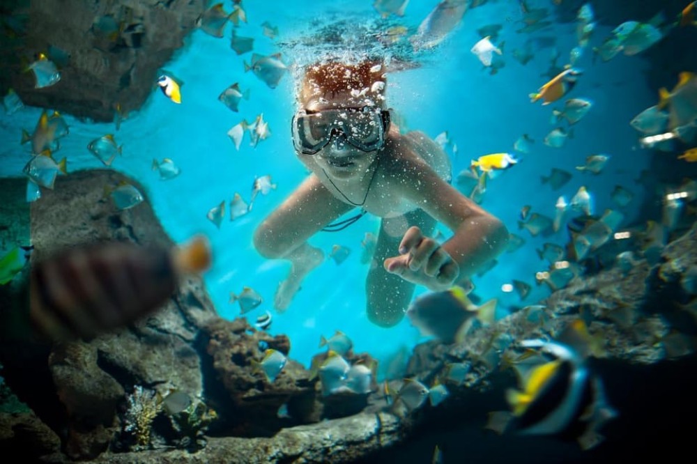 Sharm El Sheikh: Luxury boat Cruise with Snorkeling & Lunch | ®ExcursionMania