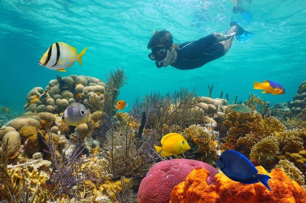 Sharm El Sheikh: Luxury boat Cruise with Snorkeling & Lunch | ®ExcursionMania
