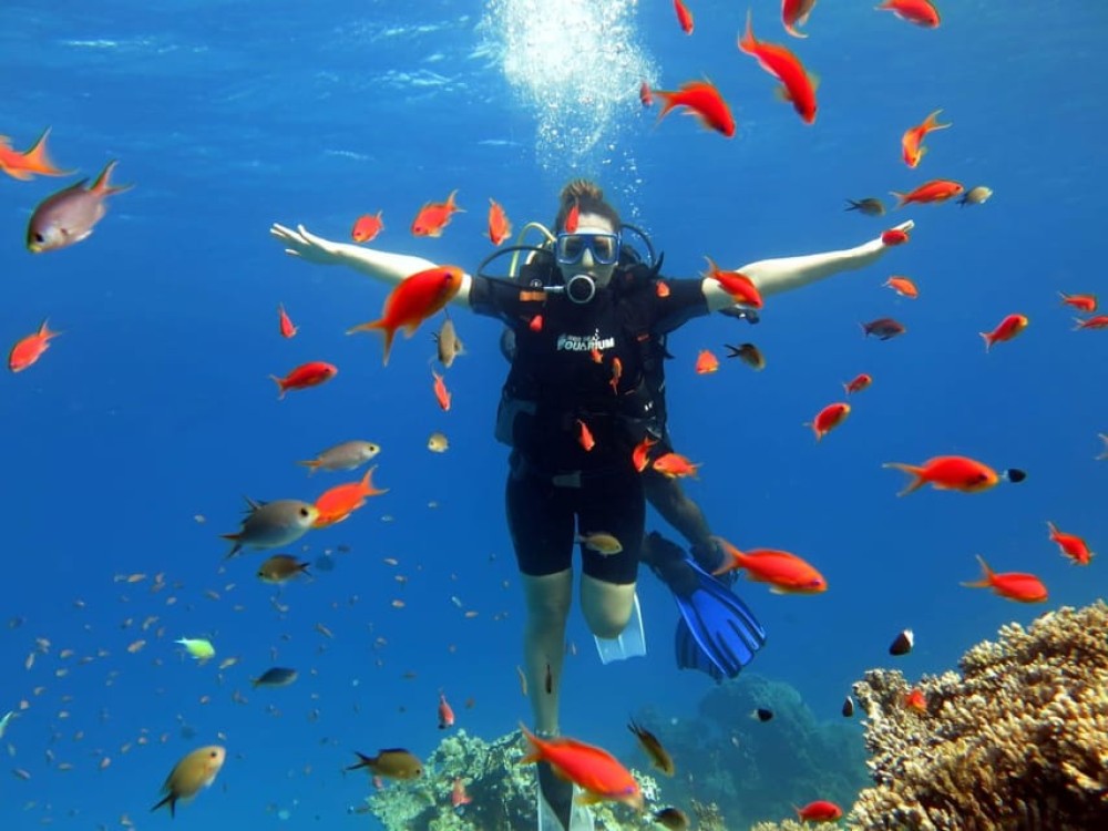 Sharm El Sheikh: Ras Mohamed Cruise with Snorkeling & Lunch | ®ExcursionMania