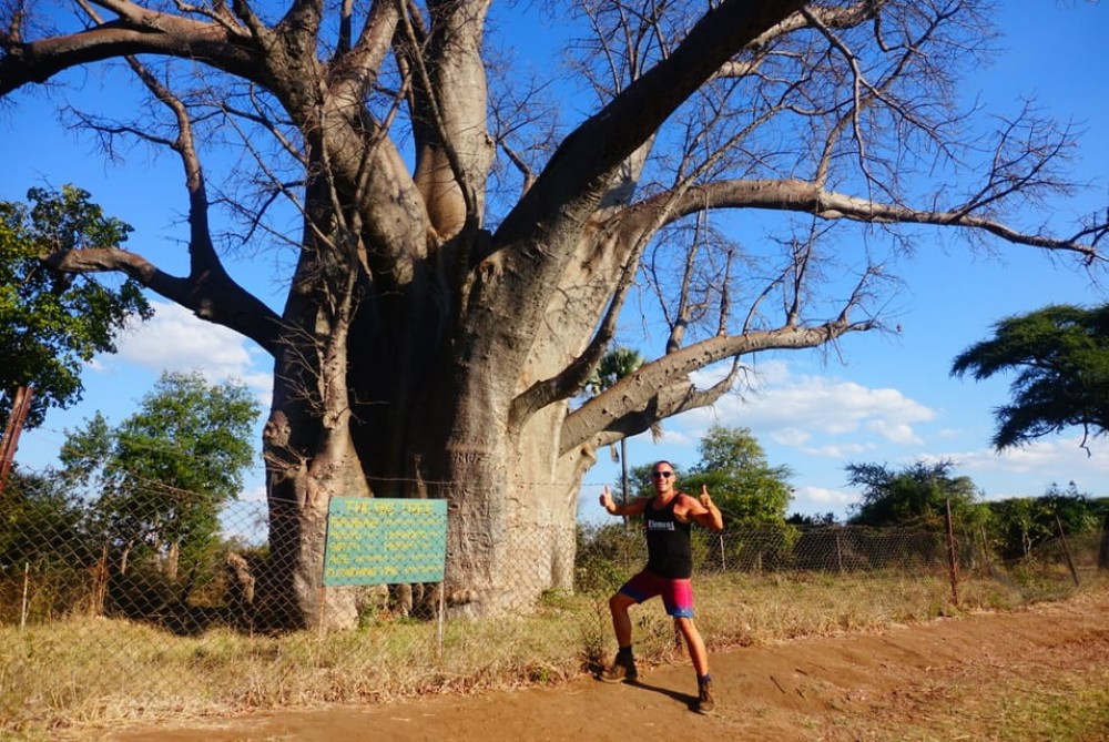 Victoria Falls: Cultural Tour with High Tea | ®ExcursionMania