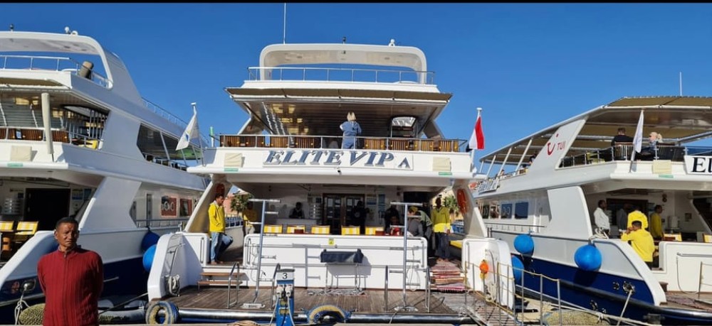 Marsa Alam: Elite vip Turtle bay snorkeling with BBQ Lunch | ®ExcursionMania