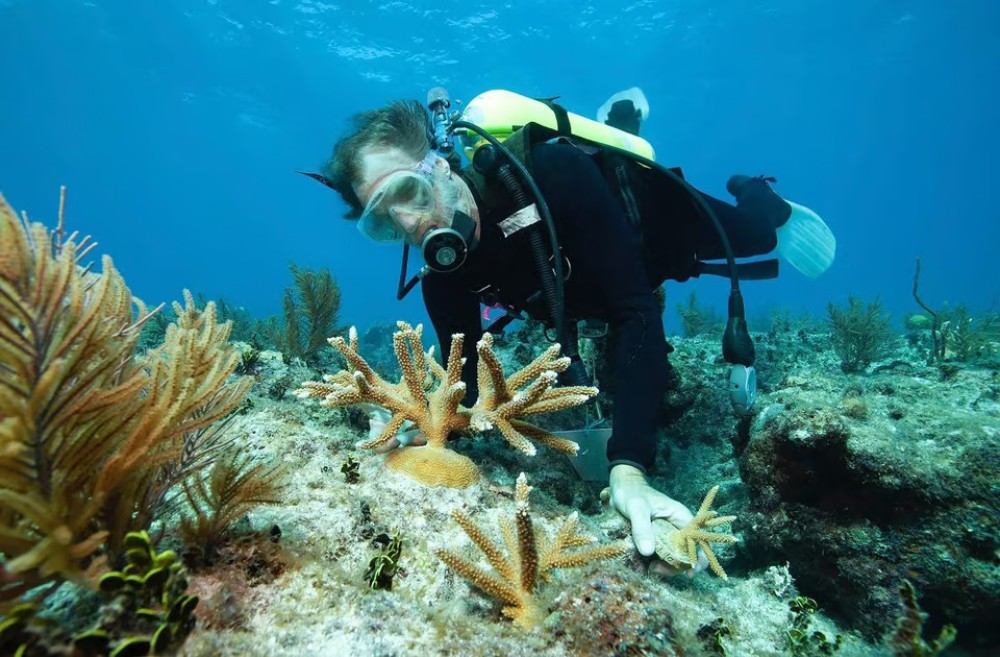 Hurghada: Premium Orange Bay Island Cruise with Lunch | ®ExcursionMania