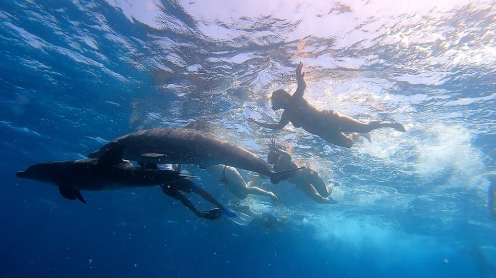 From Sharm: White Island and Ras Mohamed Snorkeling Trip | ®ExcursionMania