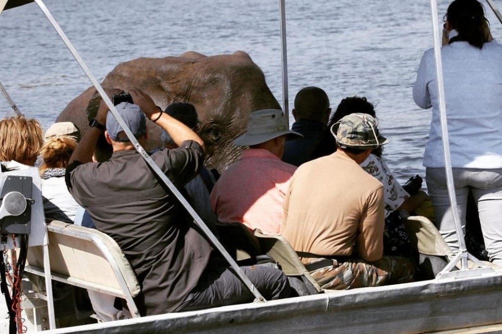 Chobe: 2-Day Mobile Camping Safari | ®ExcursionMania