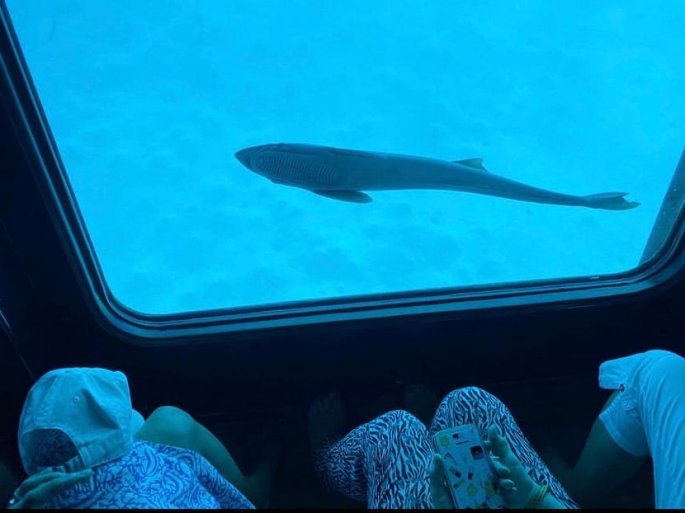 Sharm El-Sheikh: Seascope Submarine boat cruise with pickup | ®ExcursionMania