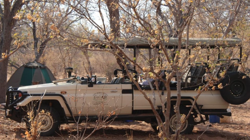 From Victoria Falls: Sunrise to Sunset Chobe Safari | ®ExcursionMania