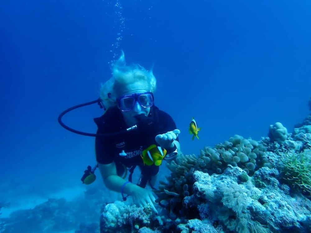 Sharm El Sheikh: Day sail to White island and Ras Mohamed | ®ExcursionMania