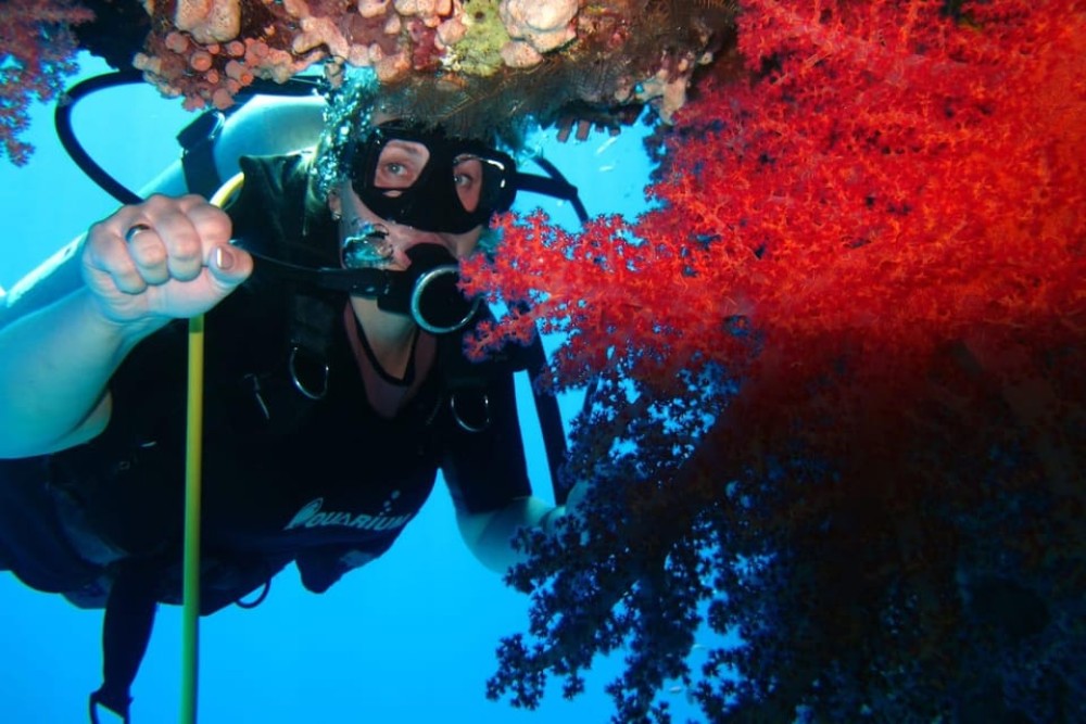Sharm El Sheikh: Day sail to White island and Ras Mohamed | ®ExcursionMania