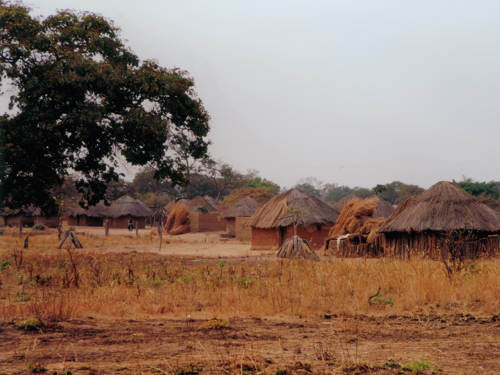 From Victoria Falls: Zimbabwe Traditional Village Tour | ®ExcursionMania