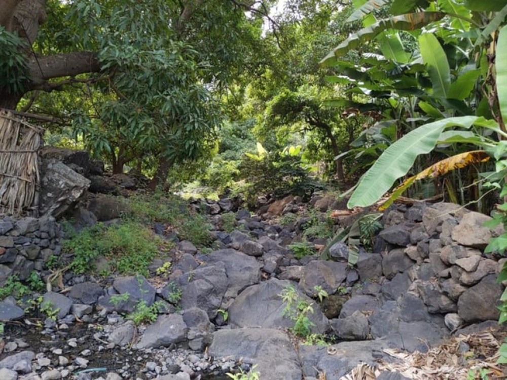 From Tarrafal: Hike Natural Park Serra Malagueta | ®ExcursionMania