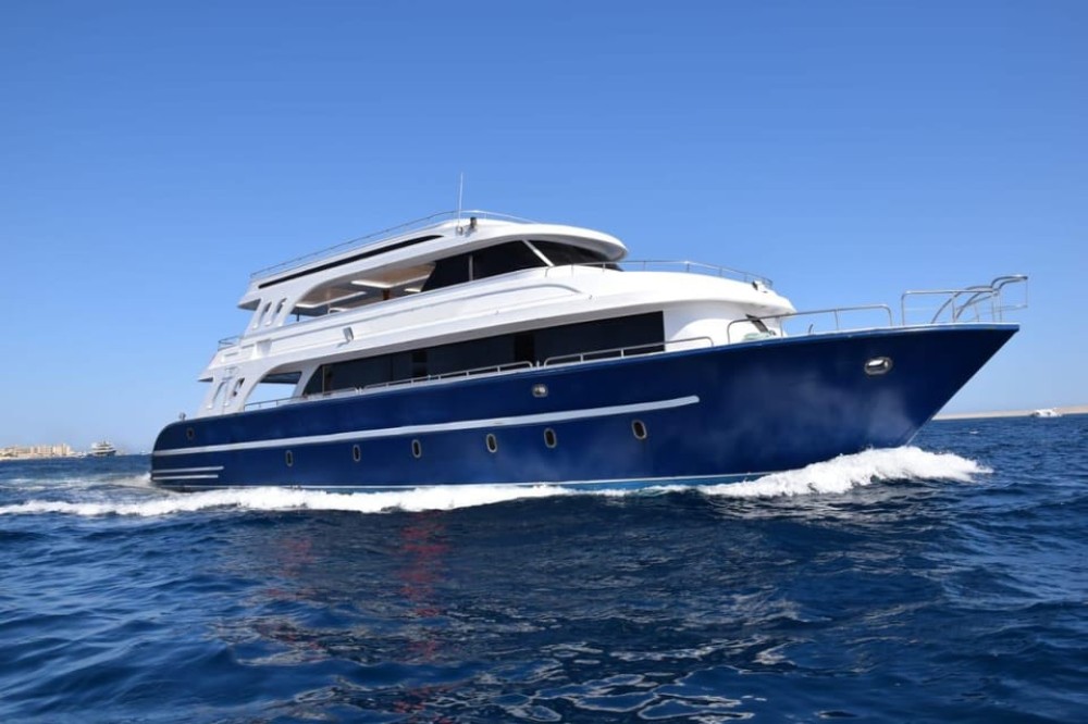 Cairo: Ain Sokhna Snorkeling cruise & optional transfer | ®ExcursionMania