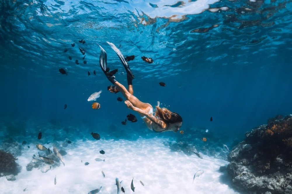 Sharm El Sheikh: Ras Mohamed & White Island Trip with Lunch | ®ExcursionMania