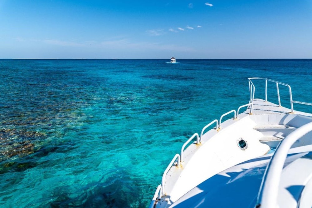 Sharm El Sheikh: Ras Mohamed & White Island Trip with Lunch | ®ExcursionMania