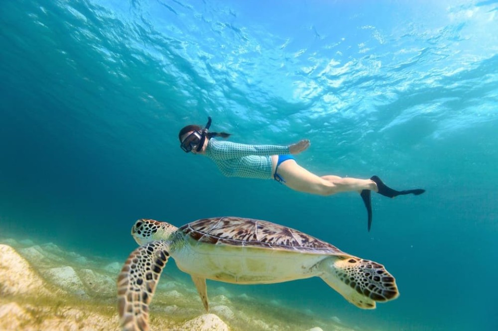 Sharm El Sheikh: Ras Mohamed & White Island Trip with Lunch | ®ExcursionMania